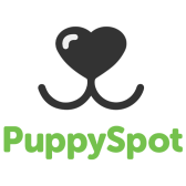 Logo di PuppySpot